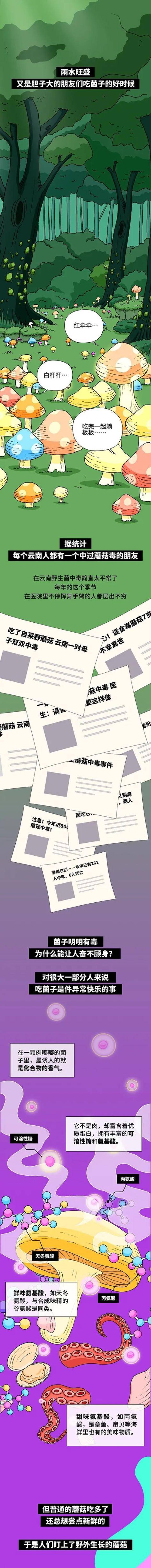 Schmidt|吃蘑菇中毒后，会看见什么？