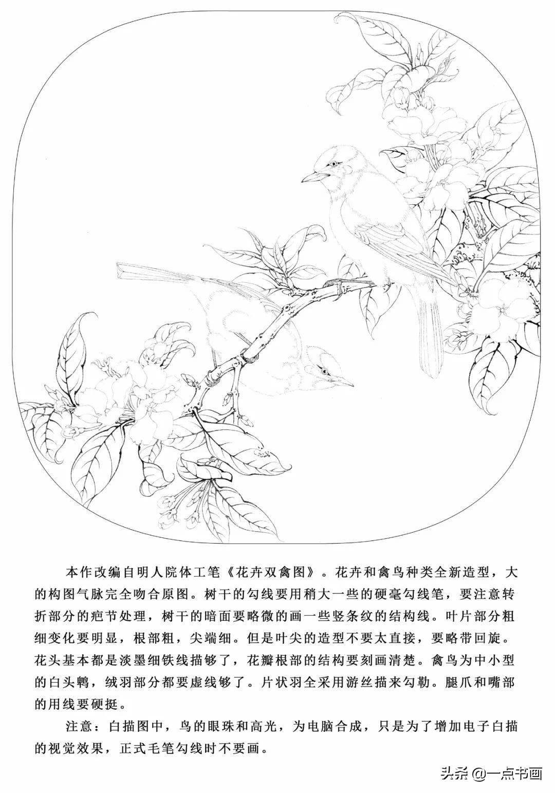 海棠白头图工笔绘制解析