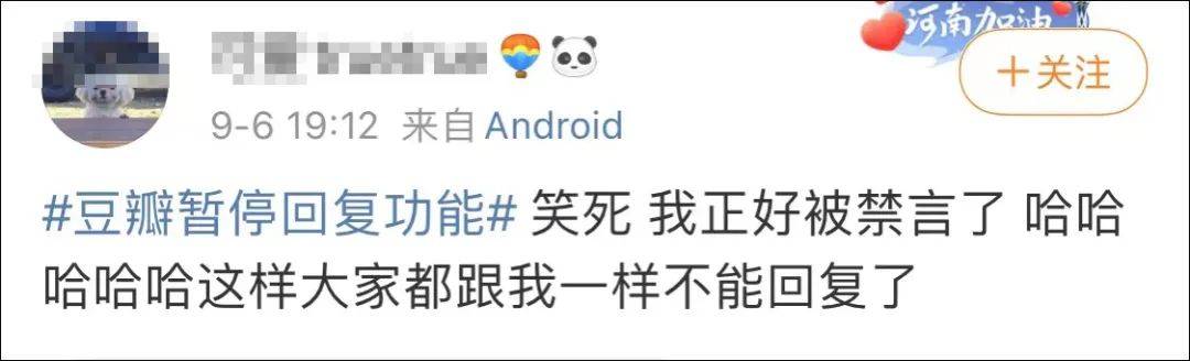 八卦|冲上热搜！豆瓣暂停回复功能