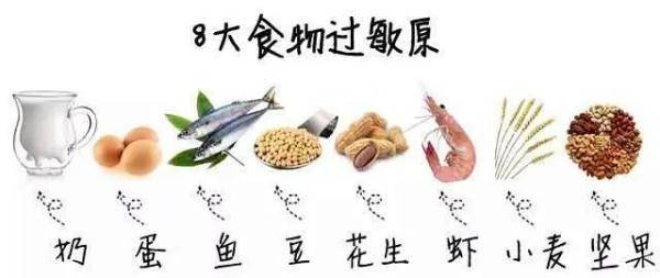上升趋势|食物过敏？怎样预防？
