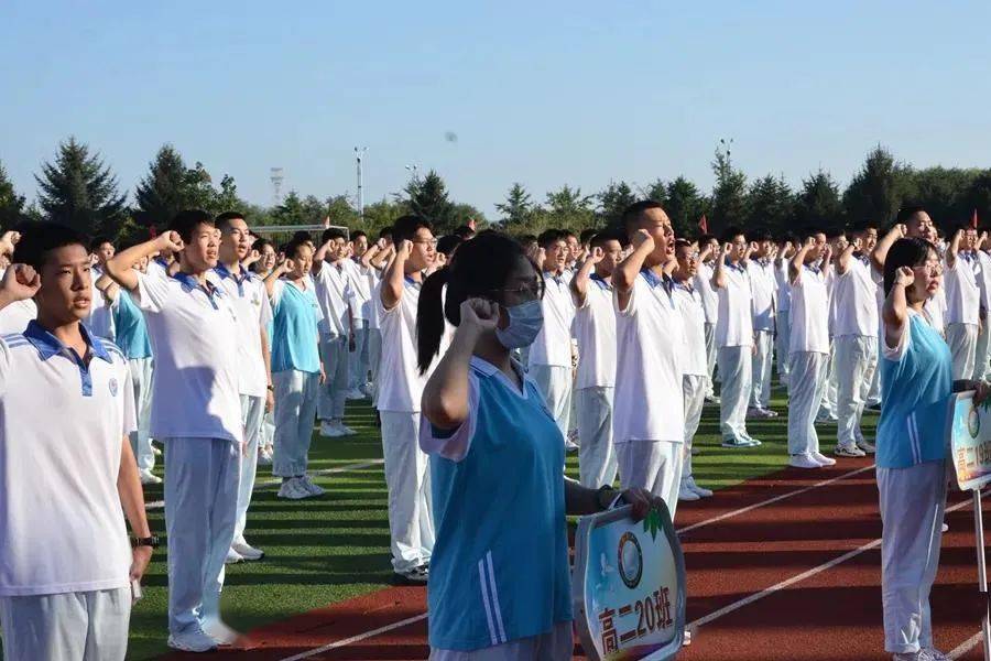 多图直击新区"神兽归笼"_丹东