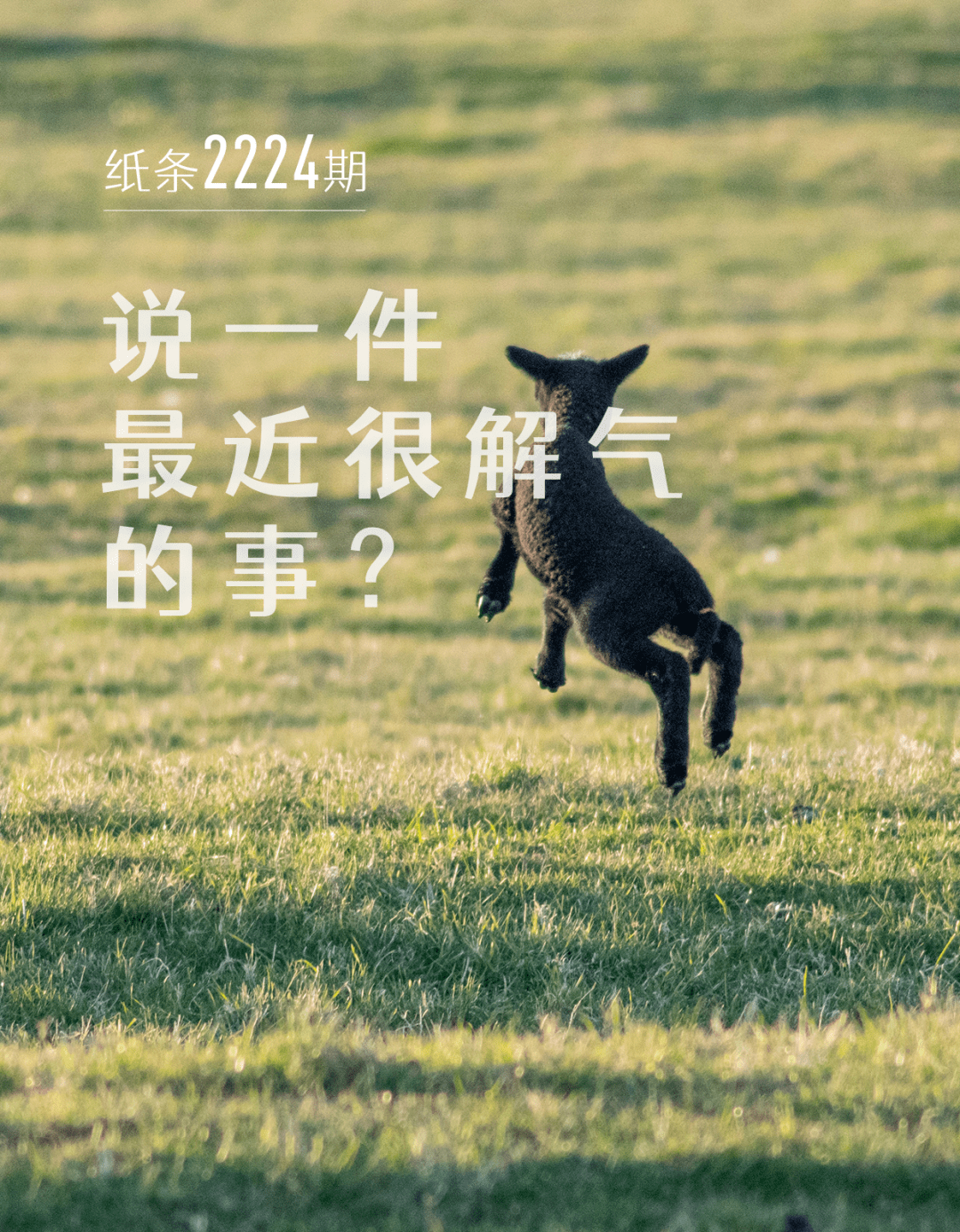 说一件最近很解气的事?