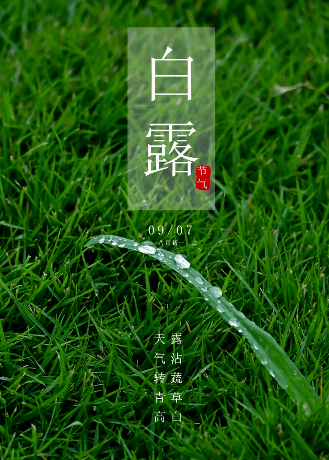 白露节气白露栖草木秋来气渐凉