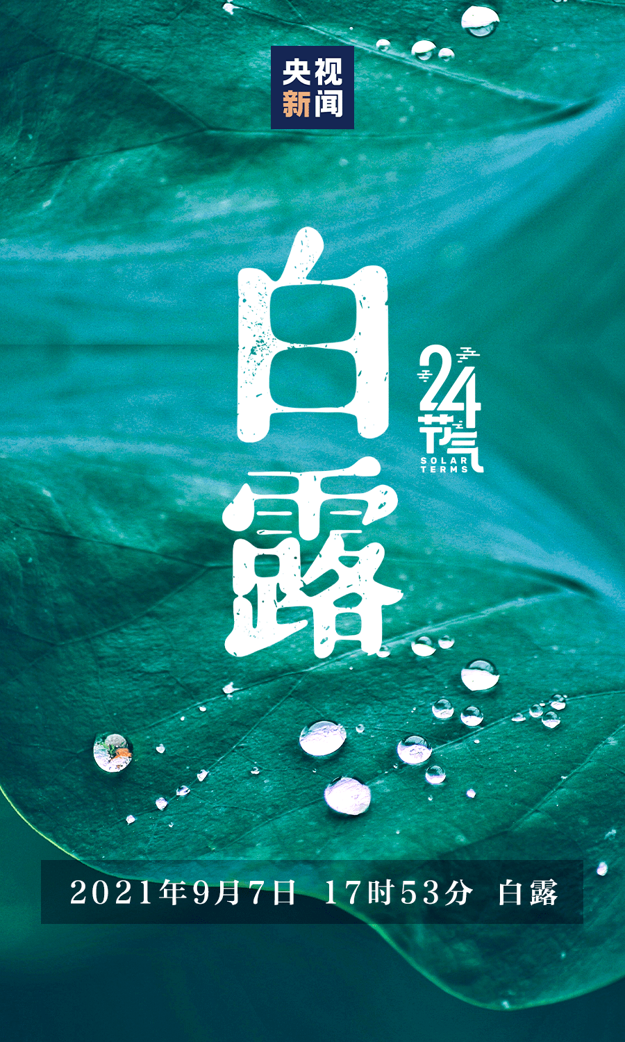 三月十五是什么节气 9dd9937393ae4effb85cceaf047d3cd0.png