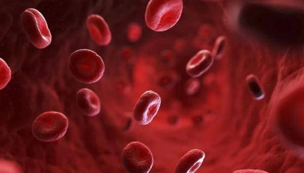 功效|现在吃这肉最养人！强筋骨，补脾胃，尤其适合这3类人！