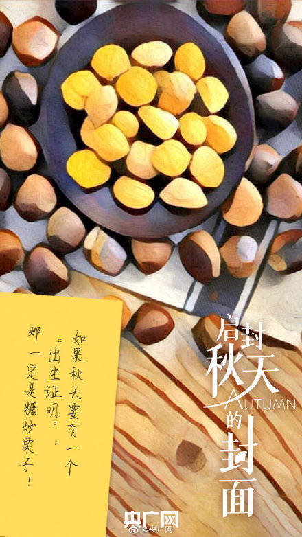 启封|今日白露，一起启封秋天的封面