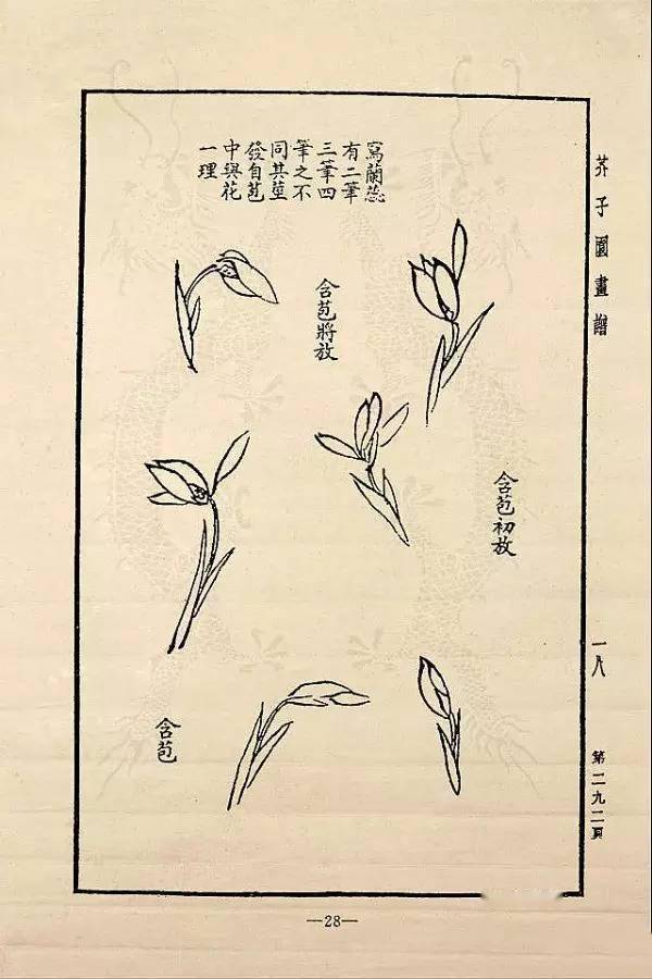 芥子园兰花国画步骤图片