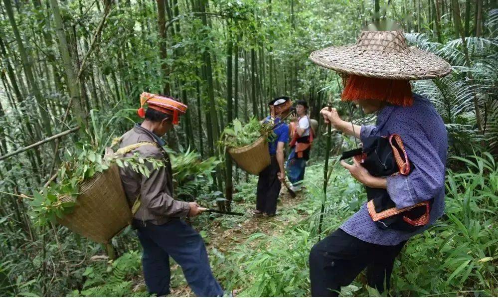 因为|湿气重的人，身上这2个部位会“变大”，再忙也要看看