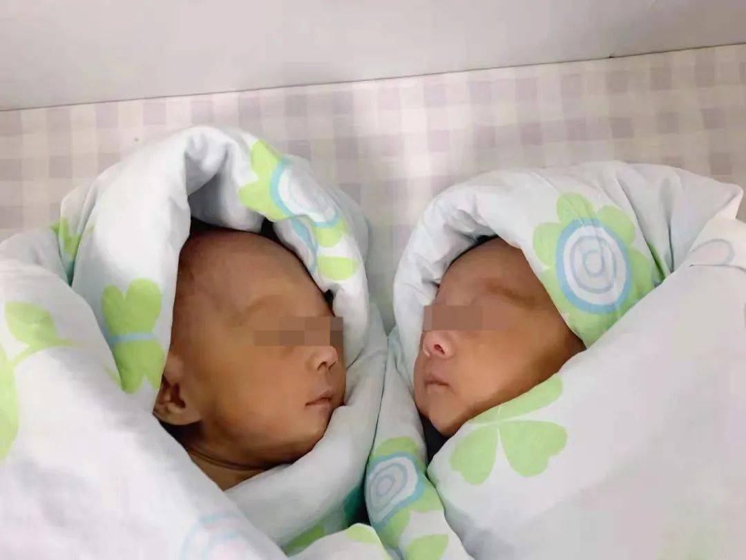 双胞胎胎儿图片28周图片