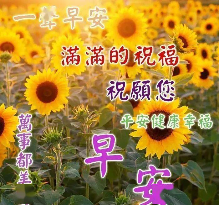 9月最新唯美早上好表情圖片帶字帶祝福語秋天微信朋友圈早安問候祝福