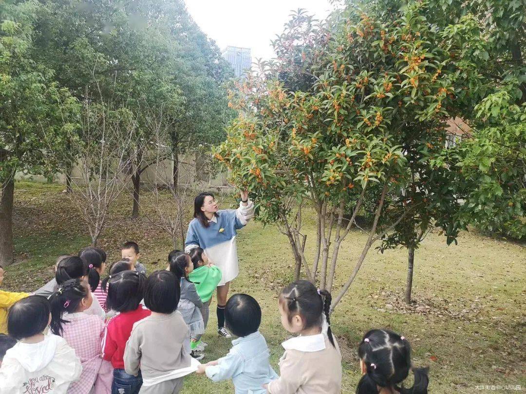 大洋街道|谢谢您！让我的童年闪闪发光 | 大洋街道中心幼儿园教师节系列活动