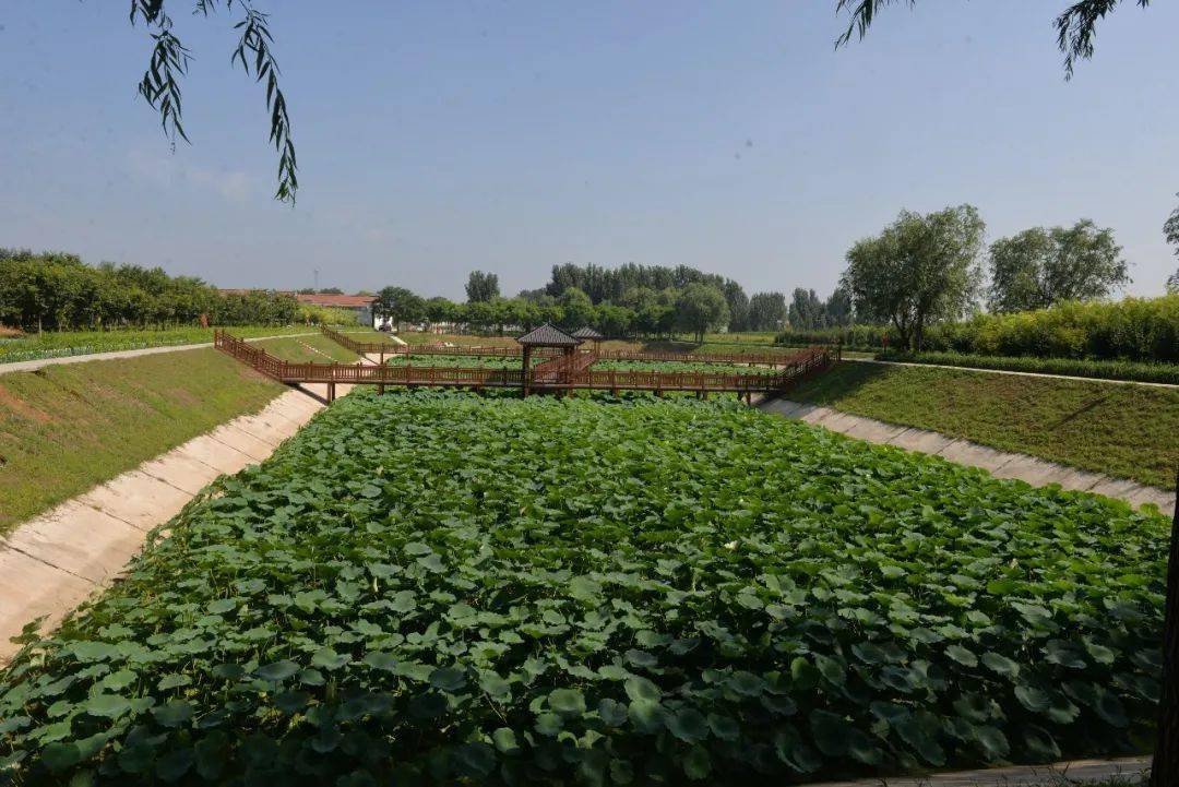 邹平市新时代文明实践中心建设现场观摩团走进魏桥镇