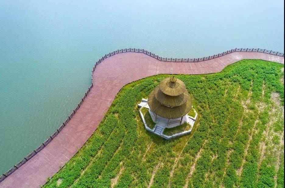 巢湖庙岗景点图片