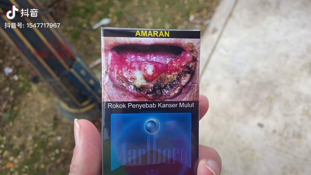 马来西亚香烟品种真少包装也是丑爆了最便宜卖多少钱一包