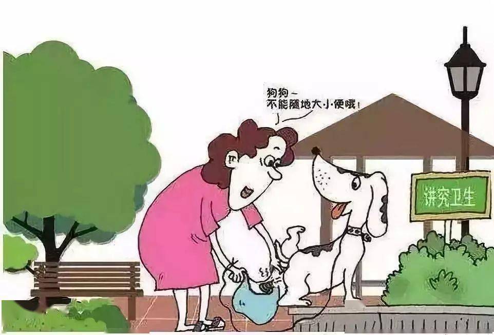 文明礼仪知识普及丨文明养犬篇