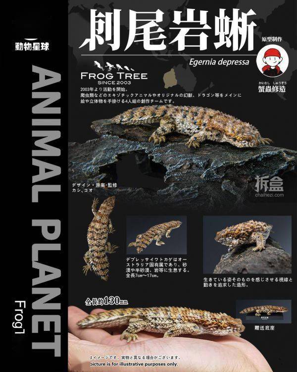 动物星球蟹蟲修造蜥蜴系列第1弹刺尾岩蜥仿真模型潮玩 Cm