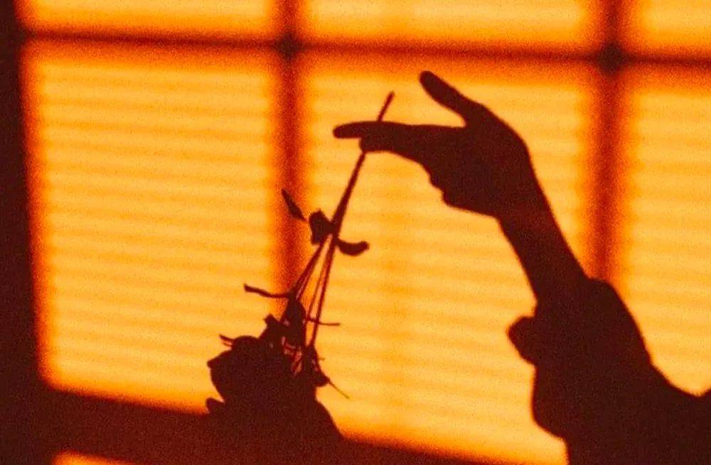 伴侣|Ta的承诺是真心的，还是只是给你“画大饼”？