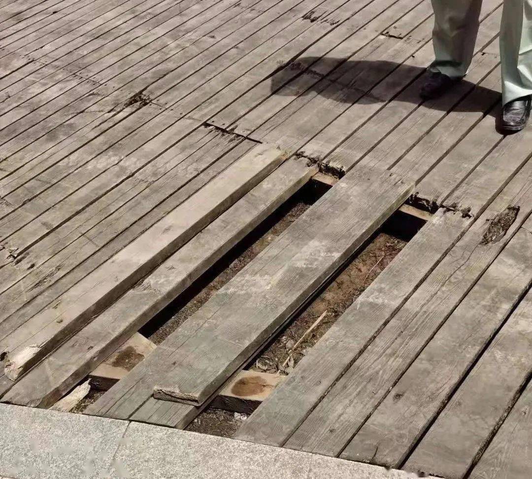 发现加城花园6幢景观带原本翘起的木板已经铺平了,破洞也已经堵上,他