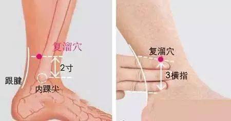怎么补肾气脾胃虚弱 11db824b3a7b4e6b836c4c1dced45318.jpeg