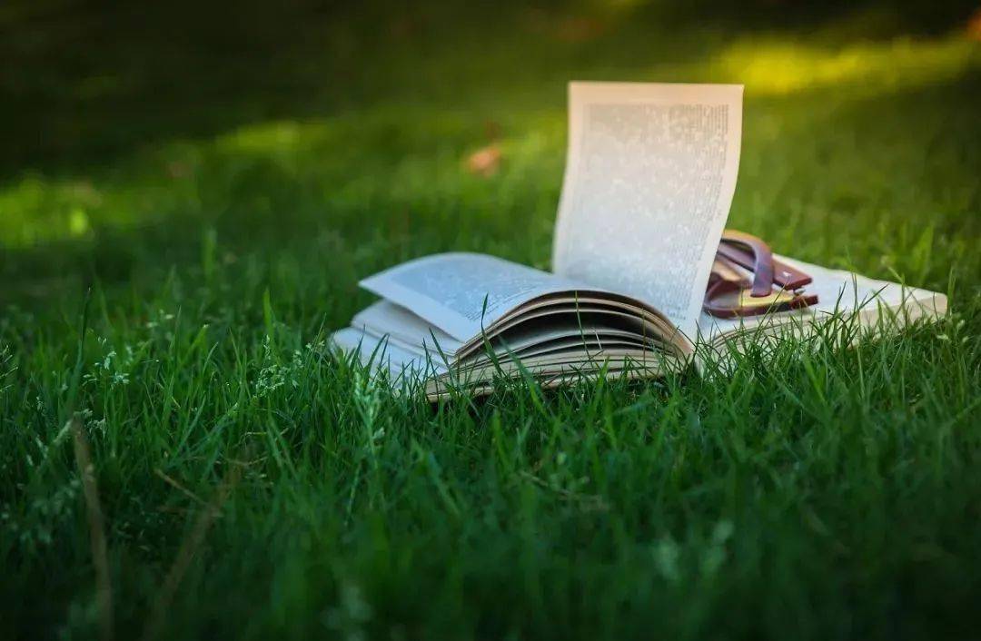 教师节讲台下的世界