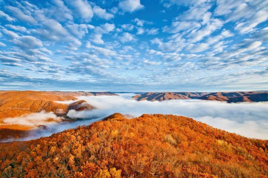 龙江秀峡萝北长,层林叠翠绿茫茫,名山欣看口岸好,夜半灯火兆辉煌.