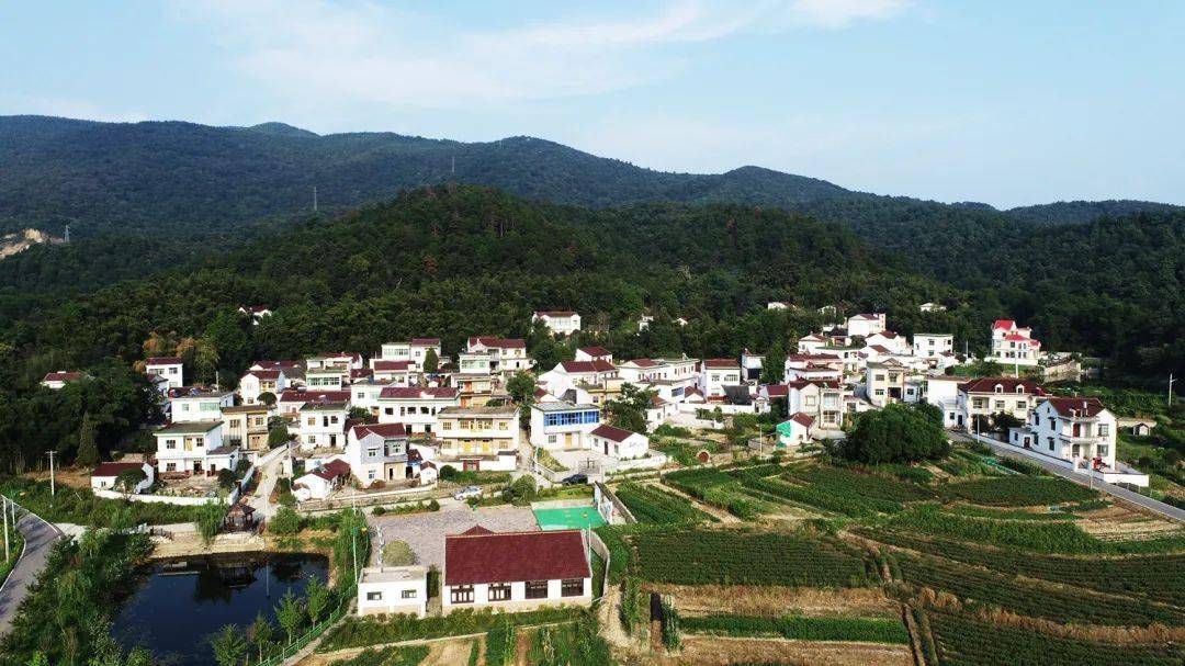 红领振兴峨山镇沈弄村五个一助力乡风文明发展