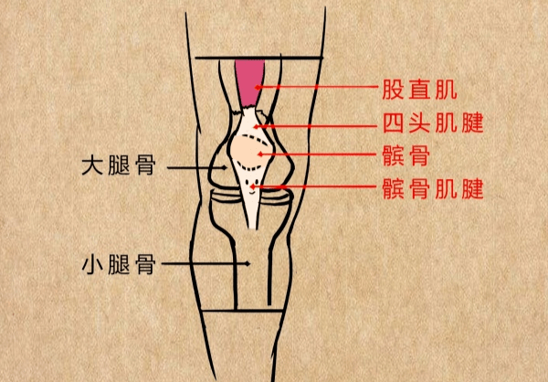 疼痛是在髌骨外表面的,往往有一个或多个明确的痛点,不是在关节内,深