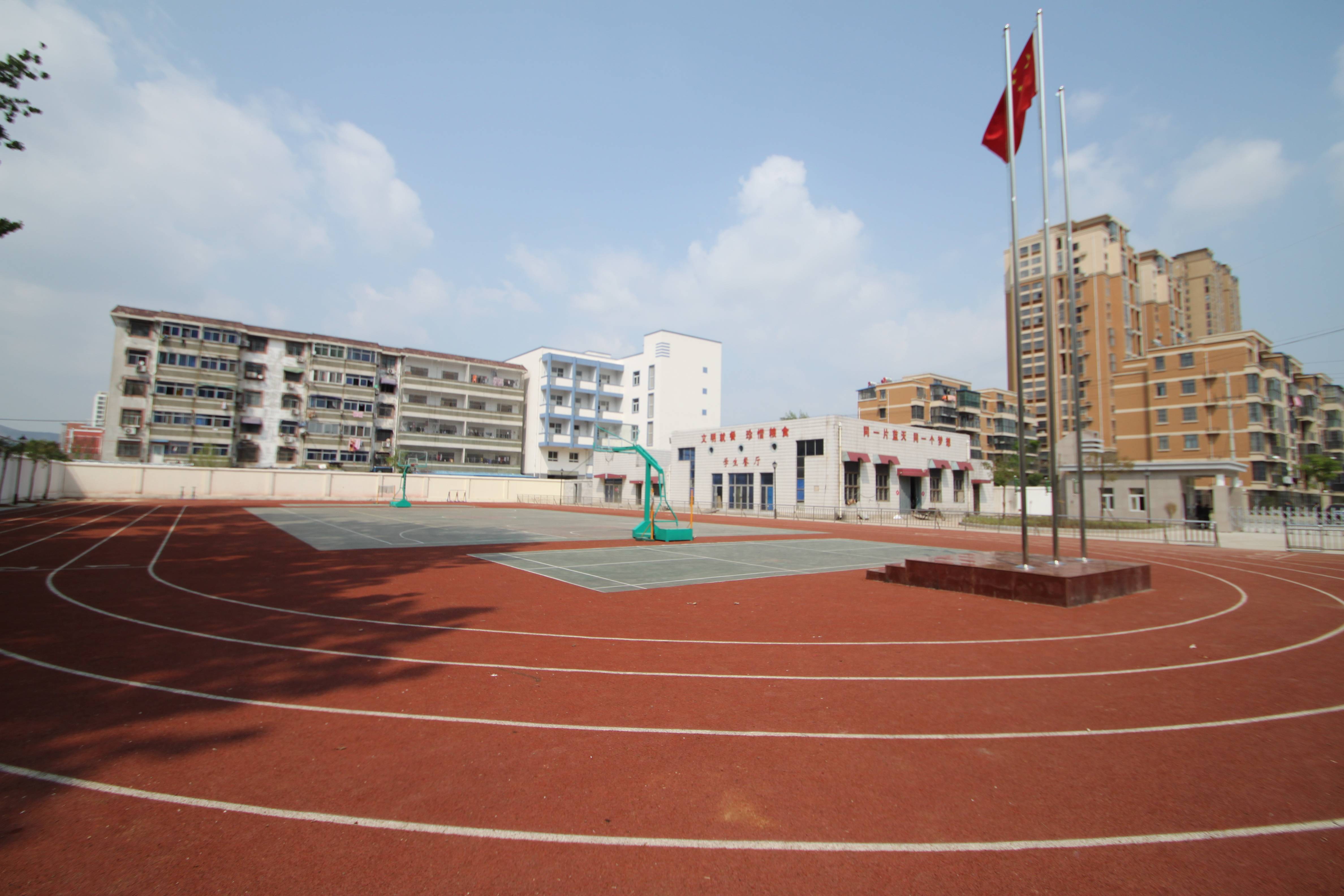 迟桂花开满芬芳