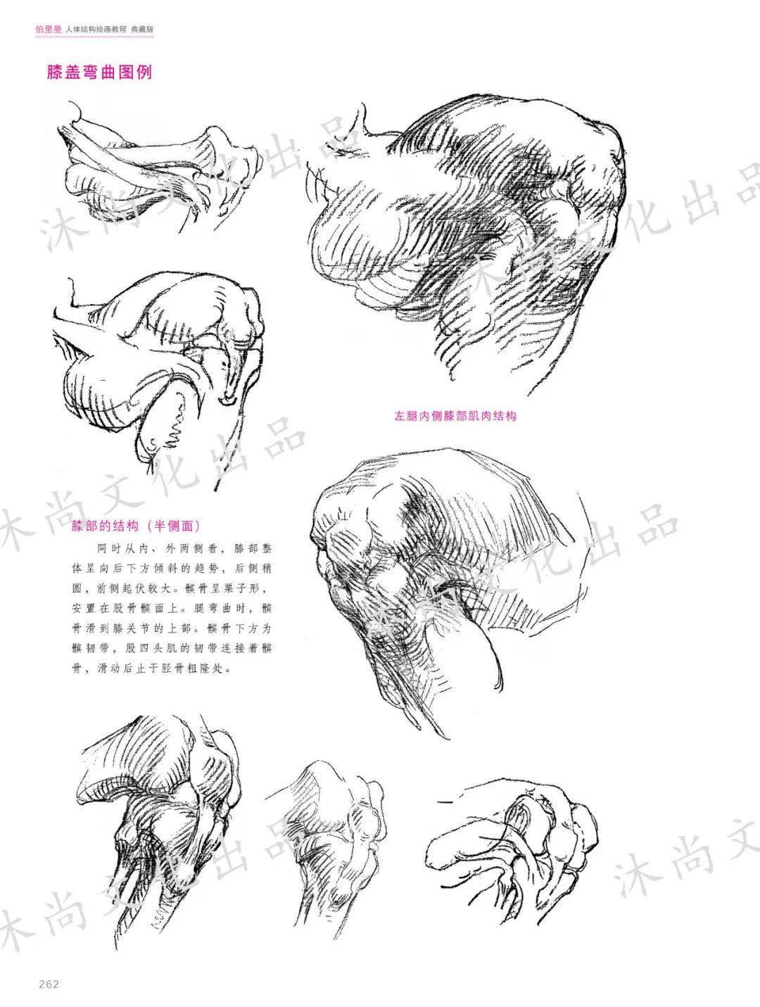 伯裡曼人體結構繪畫教程