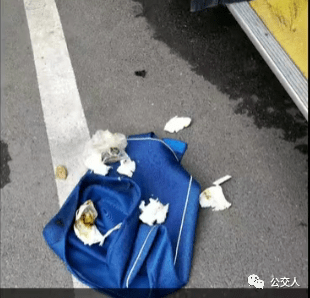 公交车厢内老人当众在座位上拉屎 公交师傅:给我整崩溃了都!