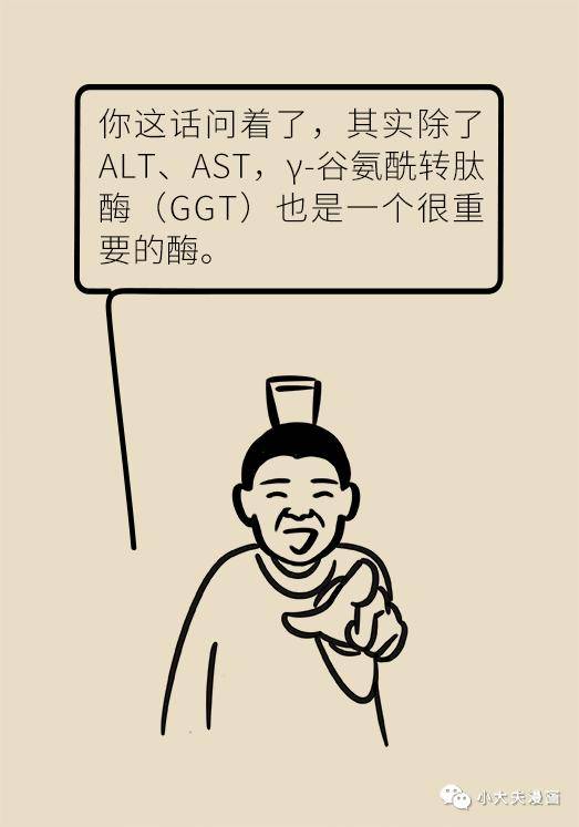肝功能|肝功转氨酶高就是肝硬化？未必，这几个指标才是重点