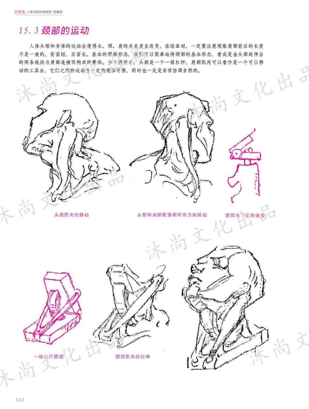 伯裡曼人體結構繪畫教程