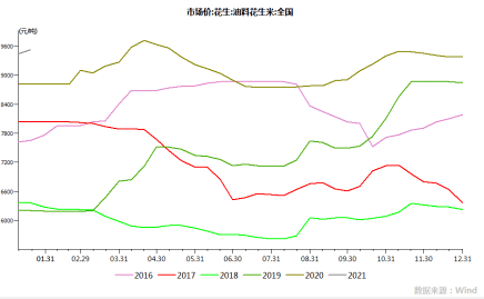 今年花生什么价钱 今年什么时间种花生合适