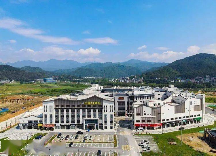 将建设成以白茶交易为核心中国白茶城▲无人机镜头下的燕子窠生态茶园