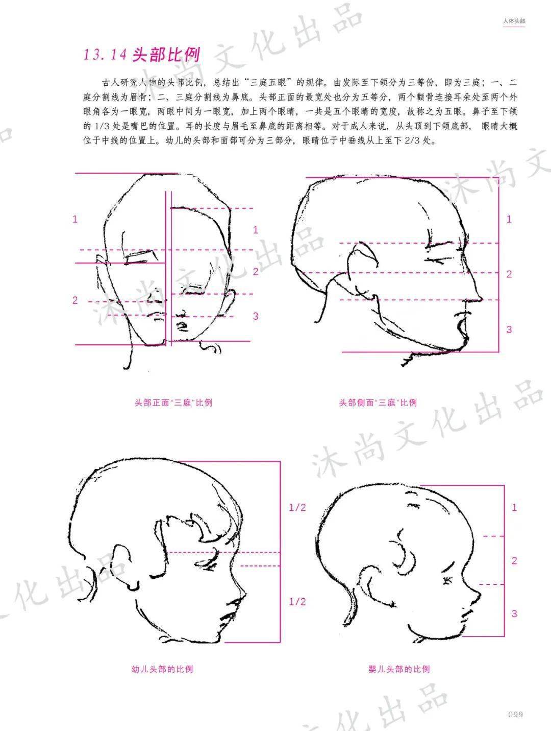 《伯里曼人体结构绘画教程》