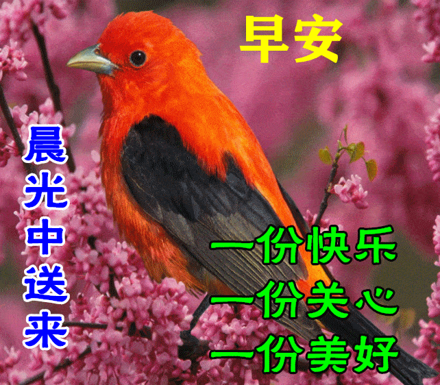 9月12日早上好动态表情图片大全早晨好动图美图大全