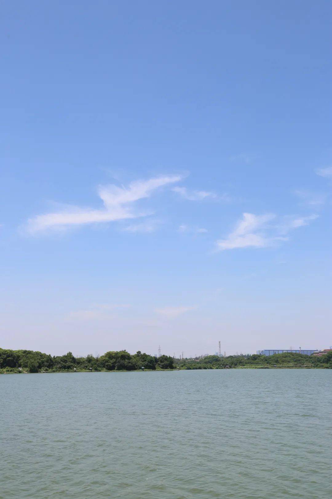 周末去哪里?白玉公园撒欢去!_草地