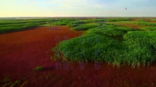 曾静辽河情大辽河我梦中的河日日夜夜在我心中流