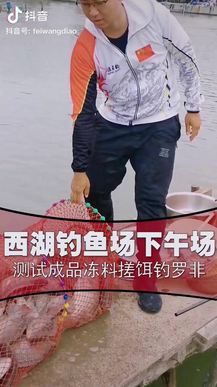 继续钓下午场继续测试成品搓饵非王钓李闯钓鱼黑坑钓罗非