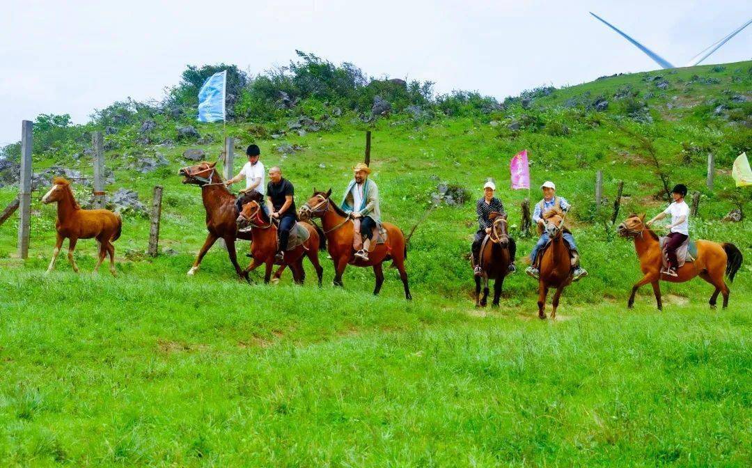 利川齐岳山骑马图片