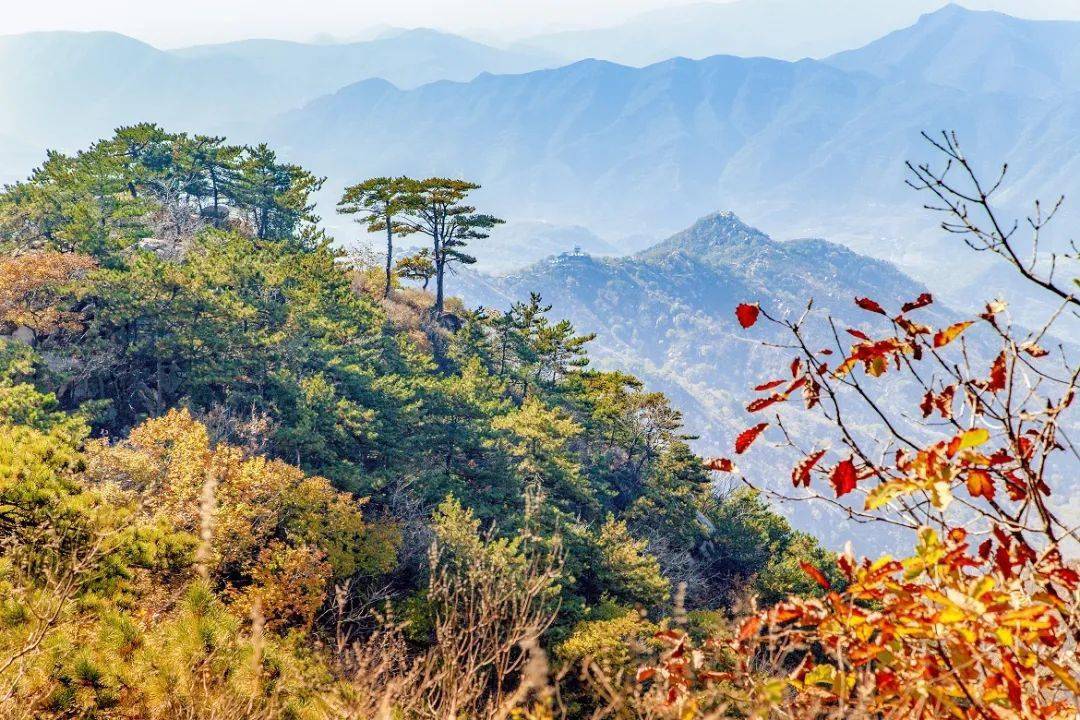 盘山迎来观赏季