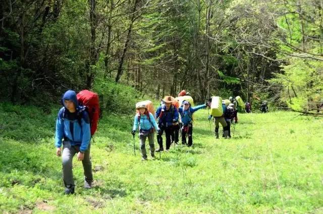 国庆节930106中探联第九届神农架国际徒步节自驾徒步玩转湖北网红景点