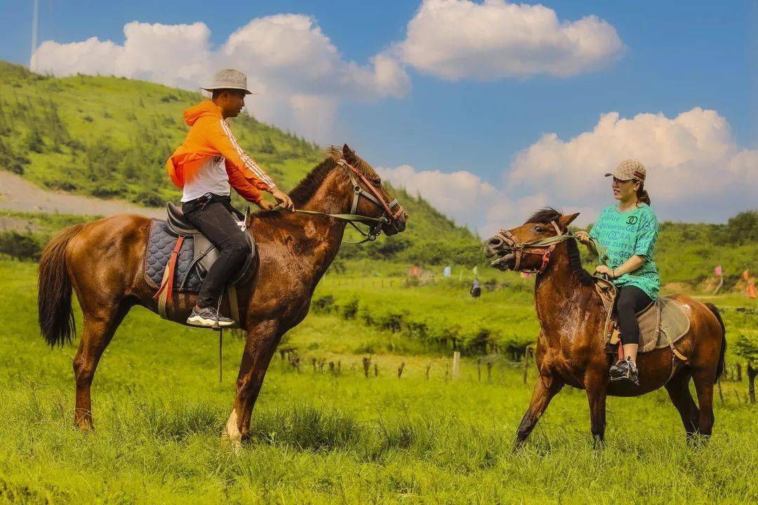 《赛马》---魏翠兰摄影《相约齐岳山》---姚源波摄影买利川特产-荡上