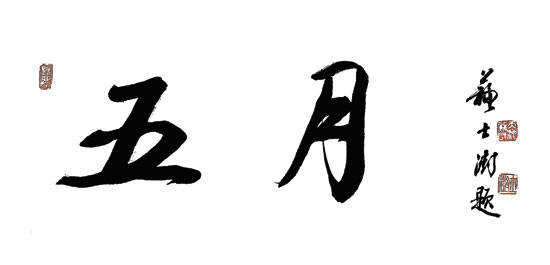 网络|网络文学评论——90后的声音