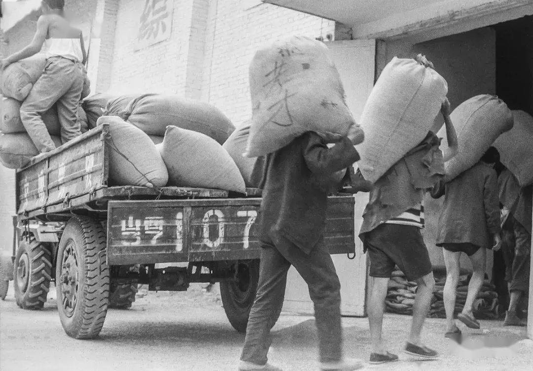 晨之风乡土散文交公粮