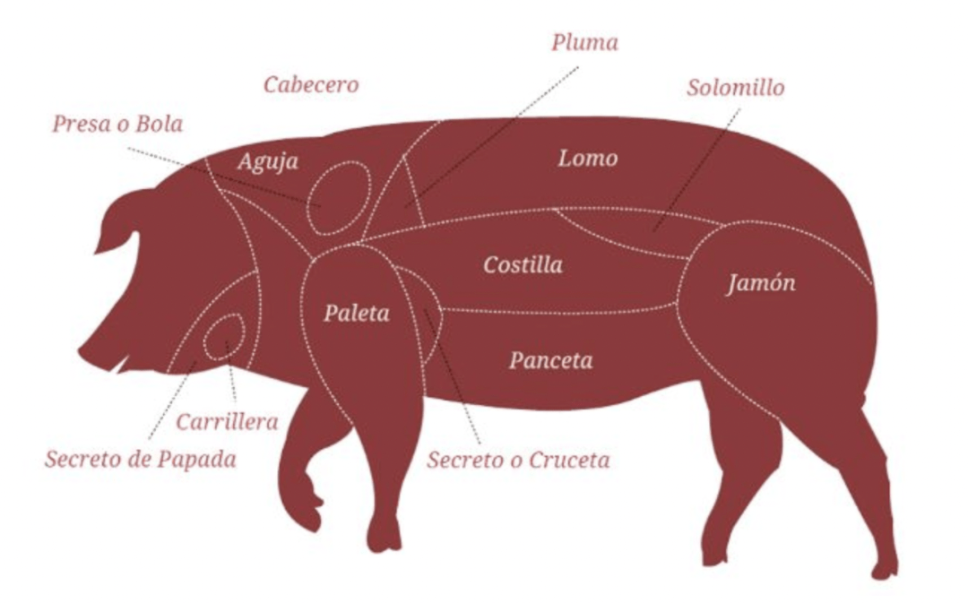 猪肉用英语怎么说图片