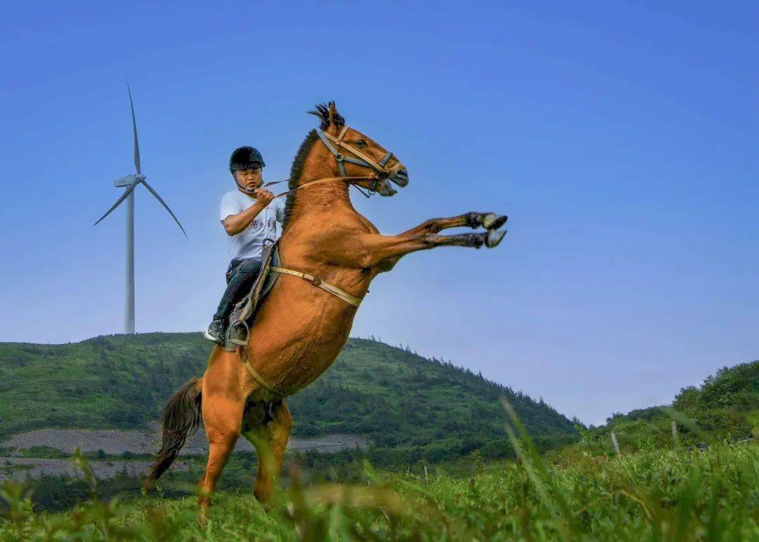 要想齐岳山的马儿跑就要给马儿吃草