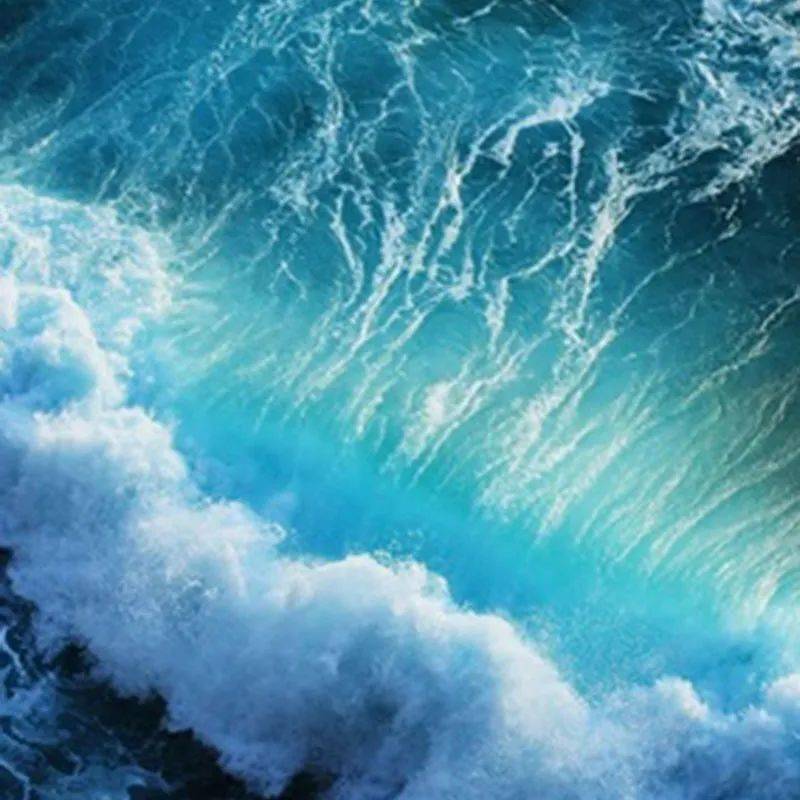 灵感|时尚圈的新物种，一只“海豚”的潮流单品“上位”史