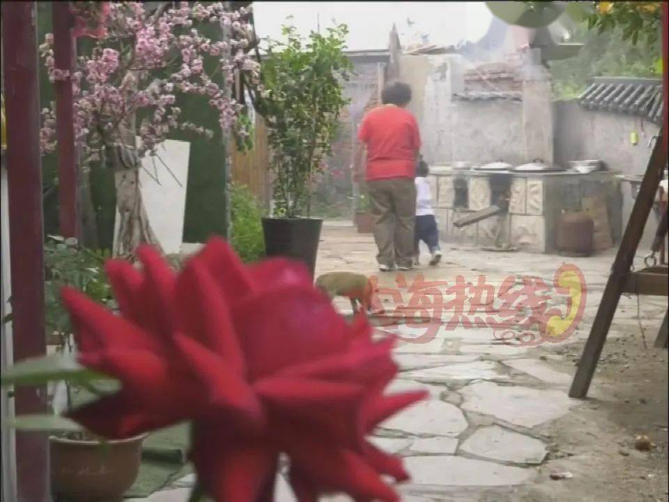 关大姐|辽宁妈妈给两岁半女儿身上装了录音定位器,结果发现了让人震惊的一幕......