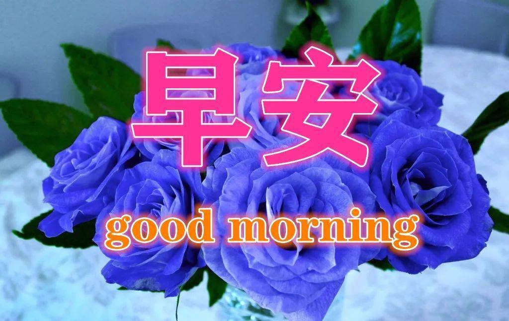 漂亮秋日早安问候动态表情图片,唯美秋日早上好问候动态图片鲜花带字